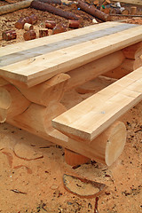 Image showing wooden bench amongst yellow sawdust