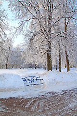 Image showing wooden bench in town park