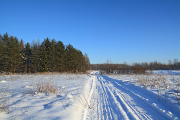 Image showing snow road near pine wood