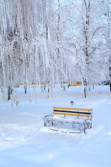 Image showing wooden bench in town park