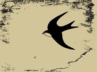 Image showing swallow silhouette on  grunge background