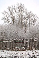 Image showing old fence in winter wood