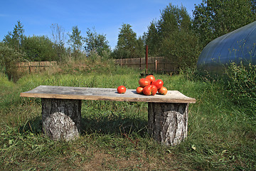 Image showing ripe tomatoes on wooden bench 