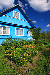 Image showing summer flowerses near rural building