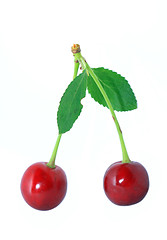 Image showing ripe cherry on white background