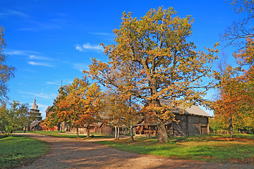 Image showing rural street amongst yellow tree