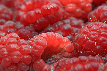 Image showing red ripe raspberry