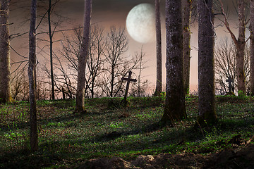 Image showing 	Night with a full moon over the cemetery