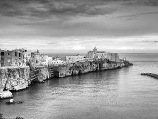 Image showing Landscapre of Vieste,  Apulia Italy