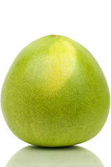 Image showing 	Honey pomelo on a white background
