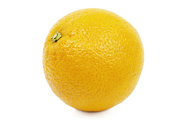 Image showing 	Orange on a white background