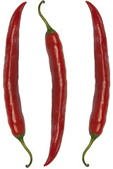 Image showing 	Red chili peppers on a white background