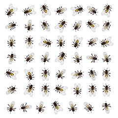 Image showing Seamless bee pattern