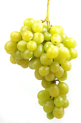 Image showing Grape