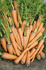 Image showing Carrots with a tops of vegetable