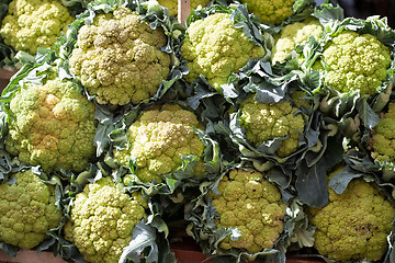 Image showing cauliflower