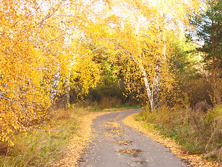 Image showing autumn road
