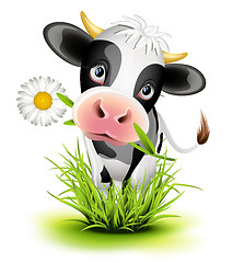 Image showing Holstein cow in grass