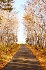 Image showing autumn road