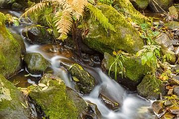 Image showing Falls on the small mountain river in a wood shooted in autumn