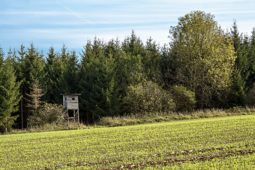 Image showing Autumn Landscape with hunting bryony