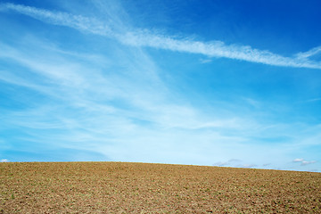 Image showing Nice autumn field with clear horizont and blue sky