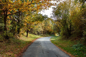 Image showing Road in the autumn with yellow trees