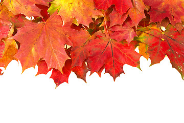 Image showing red autumn leaves frame