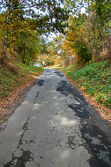 Image showing Road in the autumn with yellow trees