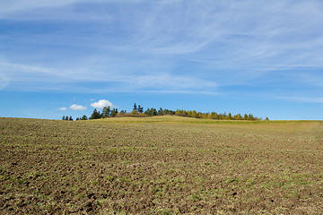 Image showing Nice autumn field and blue sky