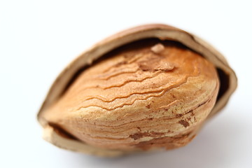 Image showing abstract view of a hazelnut