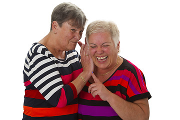 Image showing Female senior woman have fun together