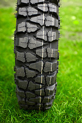 Image showing Tire at green grass