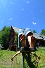 Image showing Erholung auf der Alm | resting at the alp