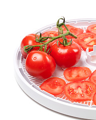 Image showing Ripe tomato on food dehydrator tray