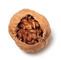 Image showing Walnut on white background