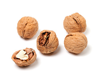 Image showing Walnuts on white background