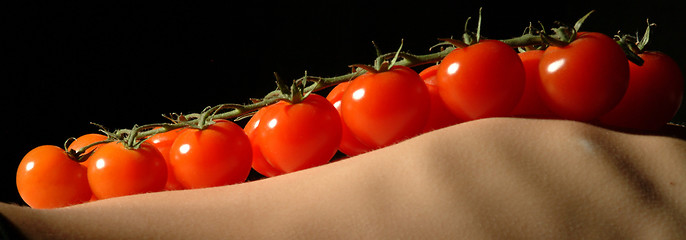 Image showing rispentomate auf rippen | panicle tomatoes on ribs