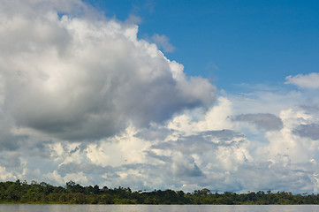 Image showing Peruivian Amazon rainforest