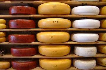 Image showing Gouda | gauda