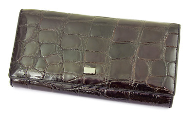 Image showing Purse from a brown skin