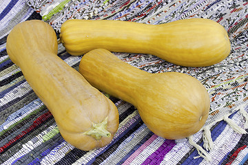 Image showing Three muscat pumpkin