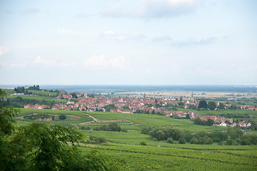 Image showing Alsace landscape and vinewyard