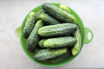 Image showing cucumbers