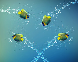 Image showing Angelfish jumping