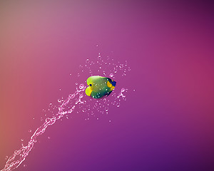 Image showing Angelfish jumping