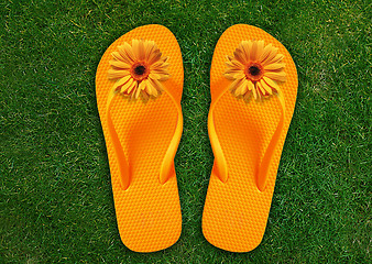 Image showing Colorful Flip Flops