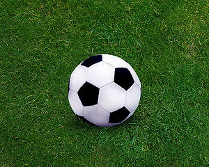 Image showing Football sport