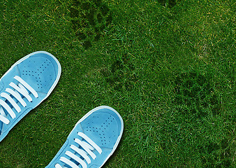 Image showing Blue Shoe print on green grassland