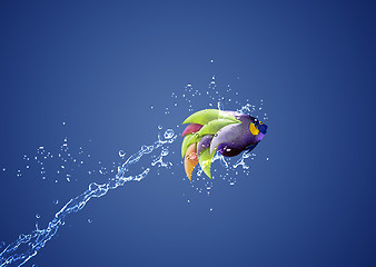 Image showing Angelfish jumping